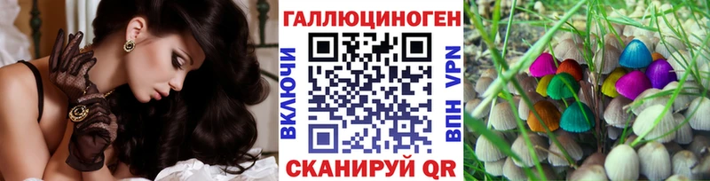 darknet наркотические препараты  дарнет шоп  блэк спрут ONION  Чухлома  Псилоцибиновые грибы Psilocybine cubensis 